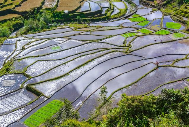 Die Reisterrassen, die einen Grossteil der Provinz bedecken, sind ein Beispiel für die umfassende Gestaltung einer Landschaft durch den Menschen. Seit vermutlich 2000 Jahren werden auf einer Höhe von 700 bis 1500 Metern die Berghänge mit Stützmauern terrassiert und für den Anbau von Reis und Gemüse bewässert.